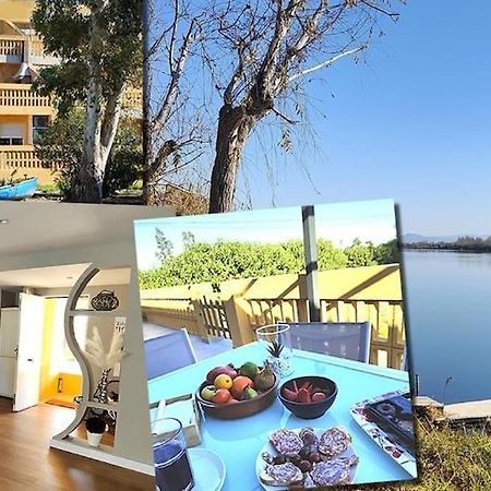 Superbe Appartement Terrasse Entierement Renove Au Bord De L'Ebre 델테브레 외부 사진