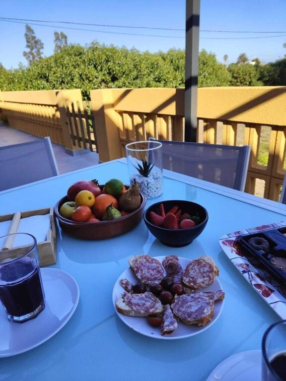Superbe Appartement Terrasse Entierement Renove Au Bord De L'Ebre 델테브레 외부 사진